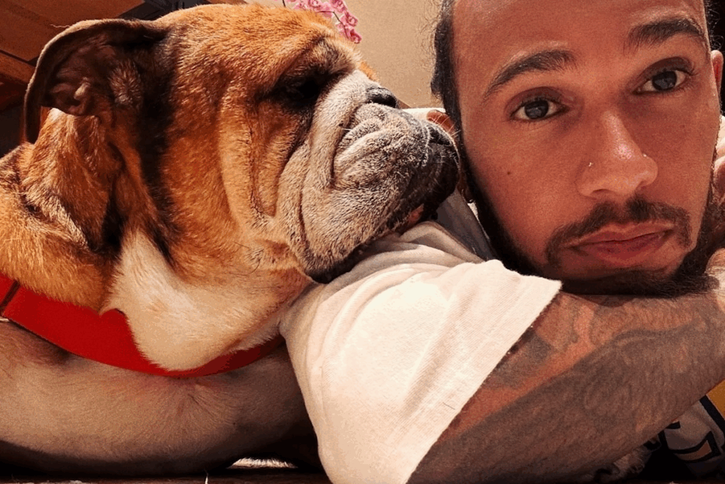 Lewis Hamilton consumed by grief after losing his dog